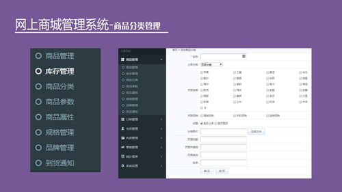 中小企業如何快速布局電子商務系統軟件開發